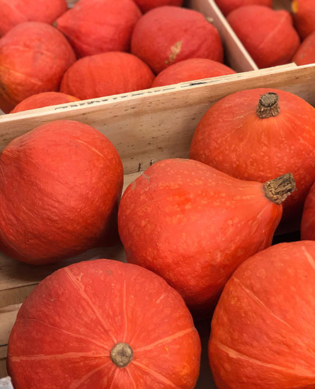 courge rouge le Dauphin