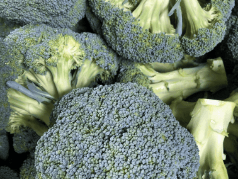 broccoli