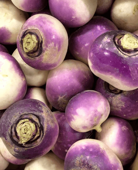 turnips Le Dauphin vegetable exporter