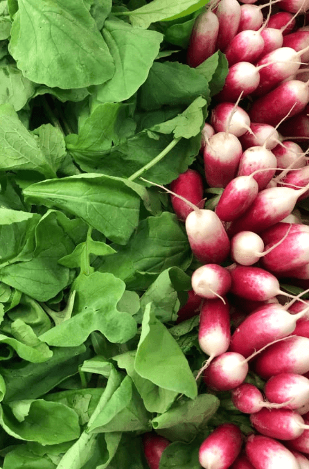 radish and salads from Le Dauphin