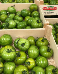 tomatoes in trays Le Dauphin