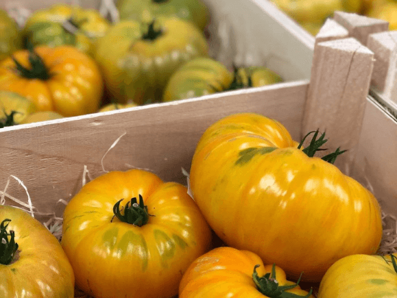 tomatoes Le Dauphin