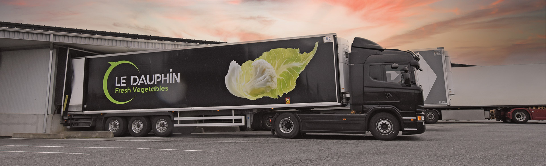 camion le dauphin exportateur de légumes