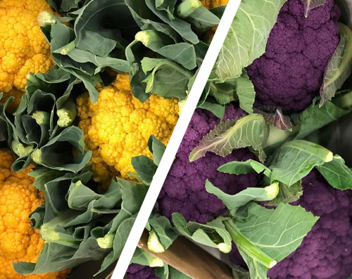 cauliflower with multiple colors