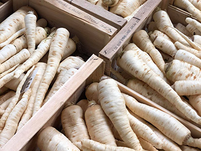 Parsnip parcel