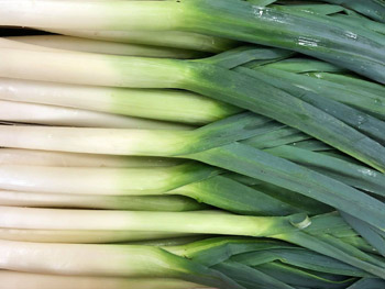 leek