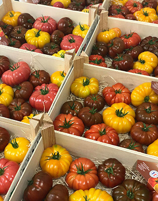 Colis de tomates d'antan