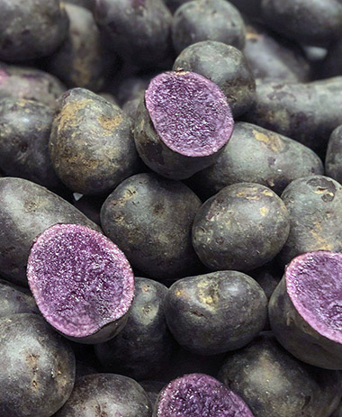 vitelotte potato