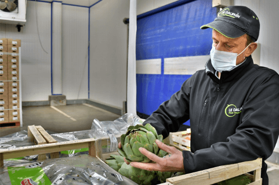 agréage des légumes le Dauphin