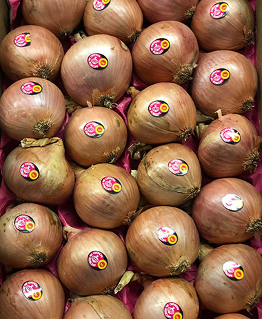 Roscoff PDO onions lites