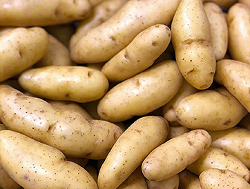 Ratte potatoes Le Dauphin