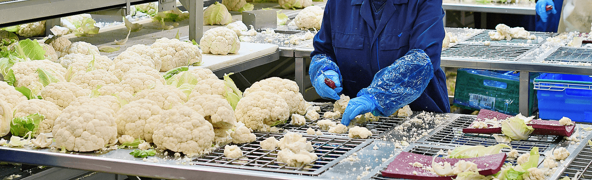 practice of flower setting by Le Dauphin employees